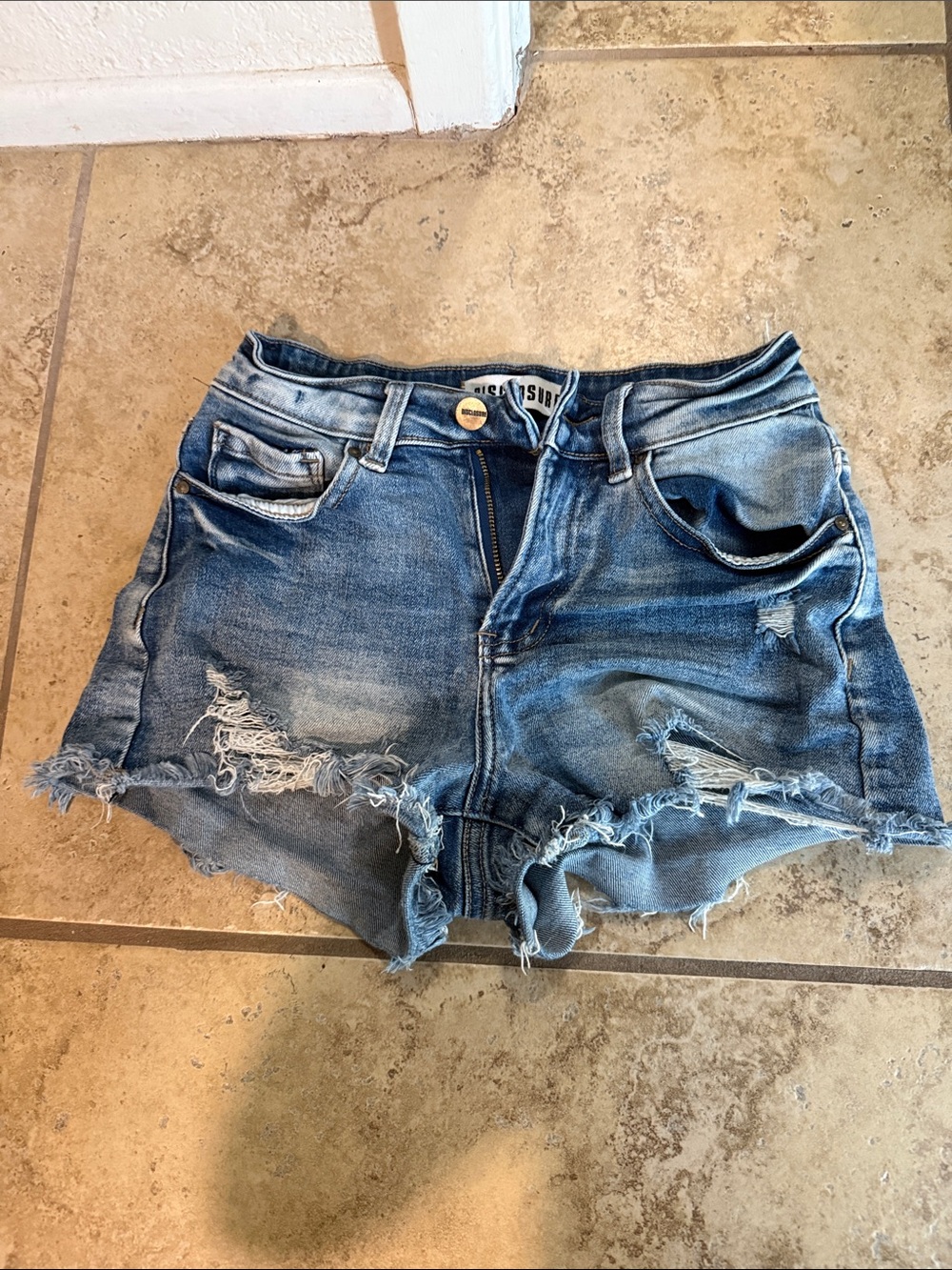 Disclosure distressed shorts